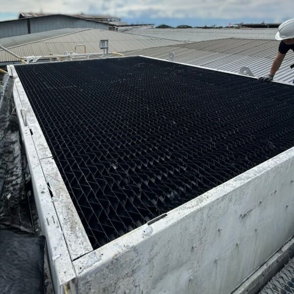 WhatsApp Image 2025-10-27 at 16.16.05